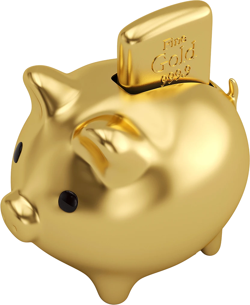 gold pig bank