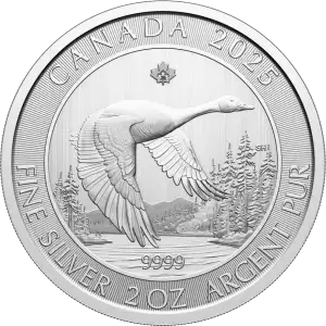 2 oz Silver Coin - Canada Goose - 2025 (2)